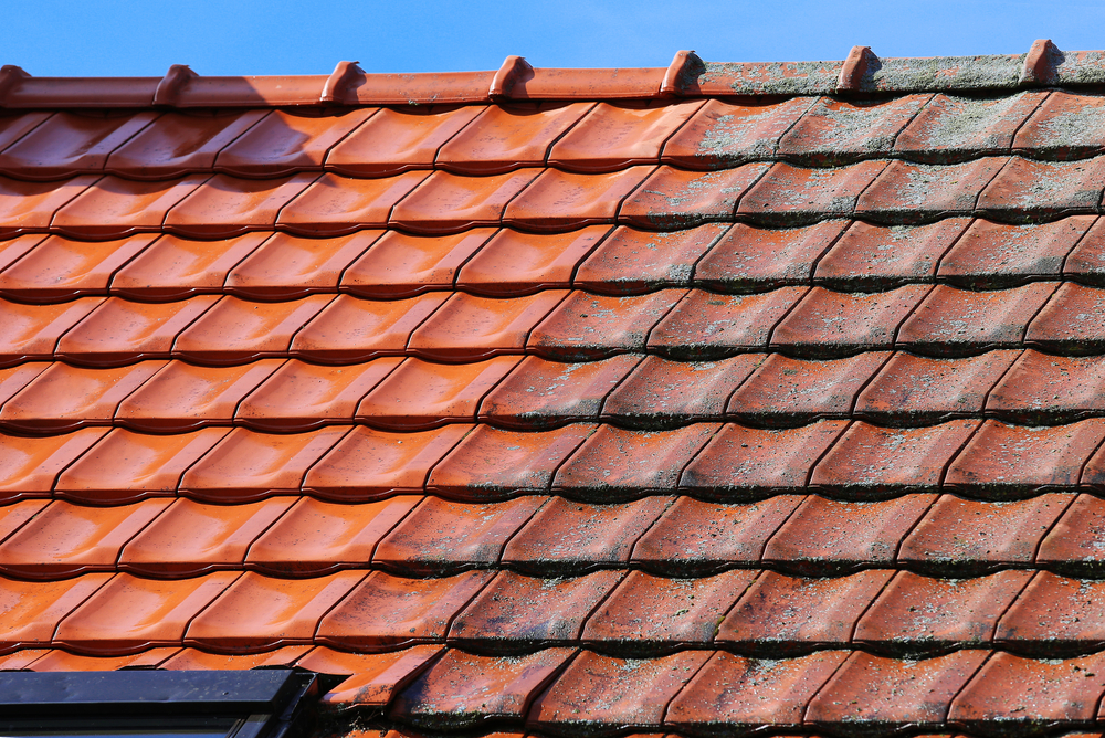 roofing professionals