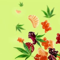 Microdosing with Weed Edibles: Benefits and Best Practices