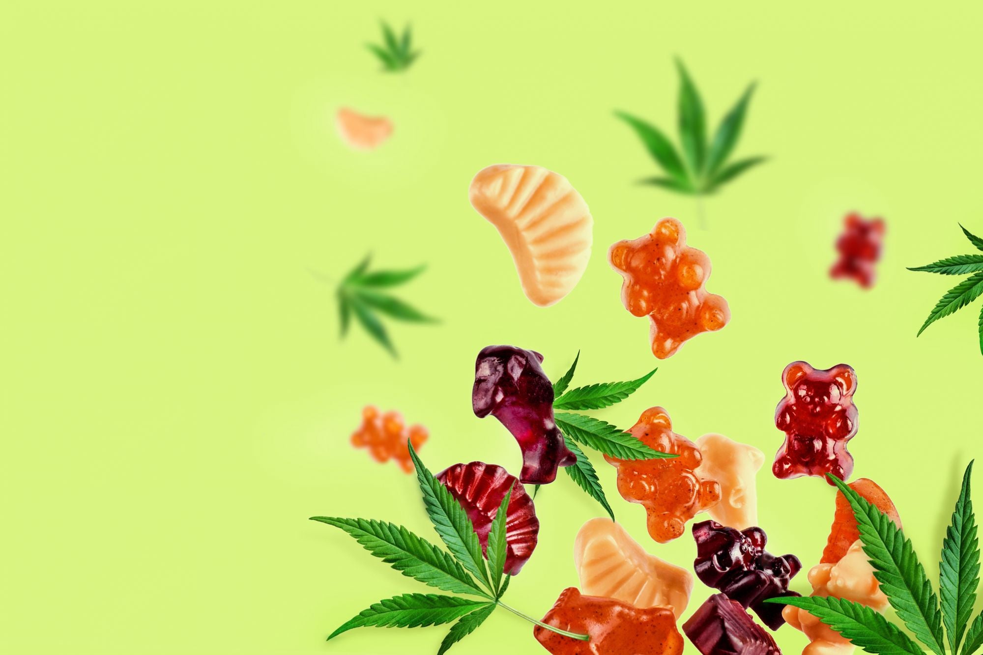 Microdosing with Weed Edibles: Benefits and Best Practices
